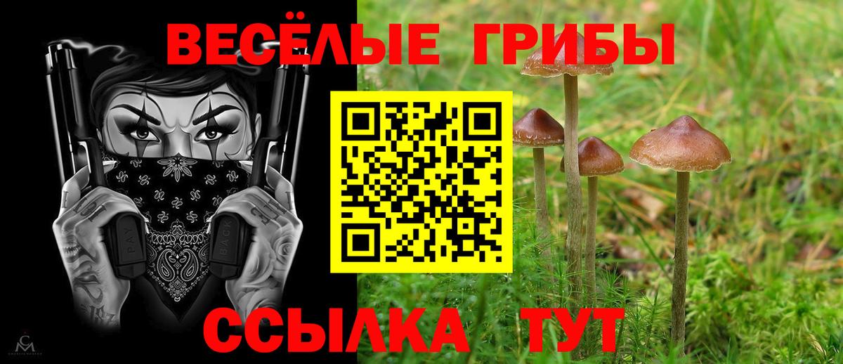 купить   Вход с VPN  Советский  Галлюциногенные грибы MAGIC MUSHROOMS 
