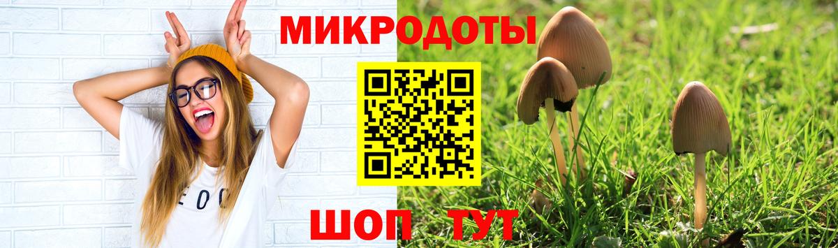 Галлюциногенные грибы ЛСД Советский